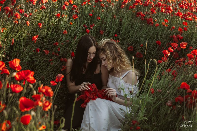 В маковом плену фото превью