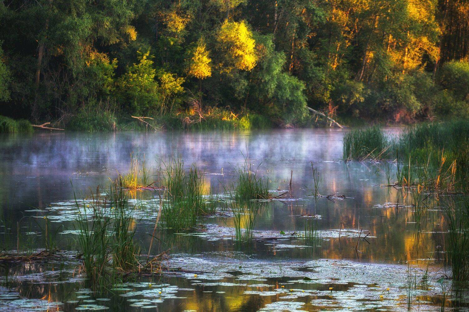 , Павел Сагайдак
