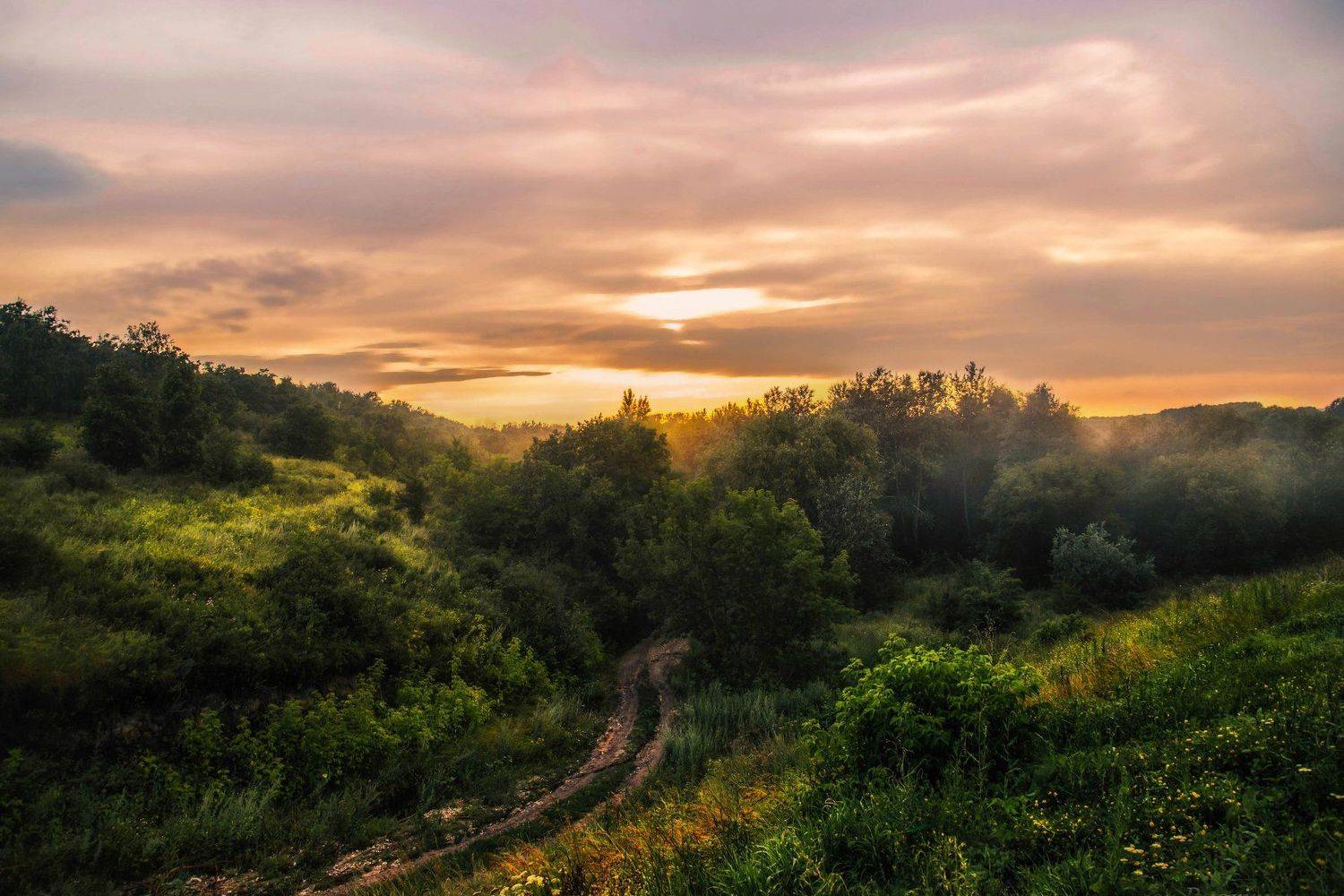 вешенская закат россия  природа пейзаж sunset sunlight nature landscape лес forest fog дымка, Егор Бугримов