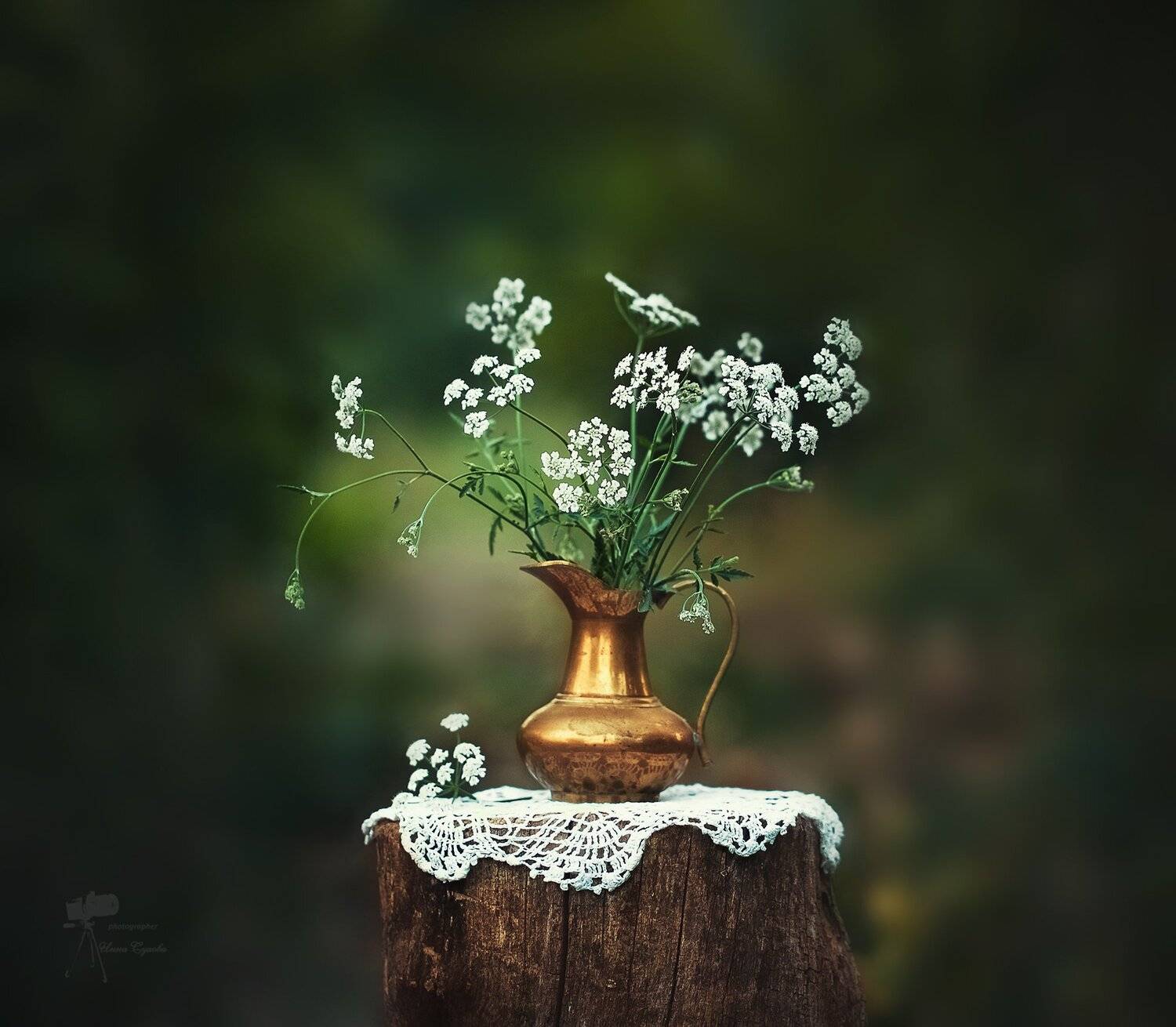 , Инна Сухова