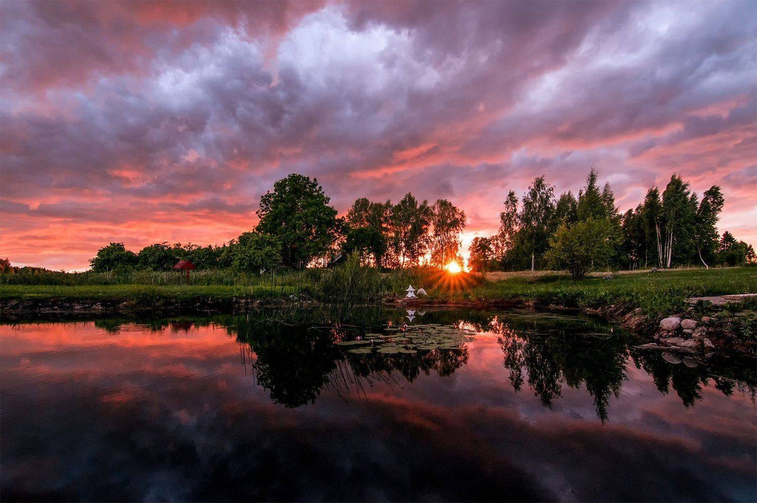 sunset, summer, flowers,clouds, colors, Daiva Cirtautė