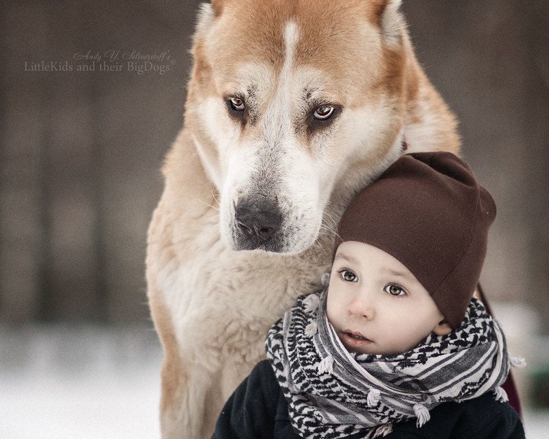 Короче, пацаны, я не один пришел! фото превью
