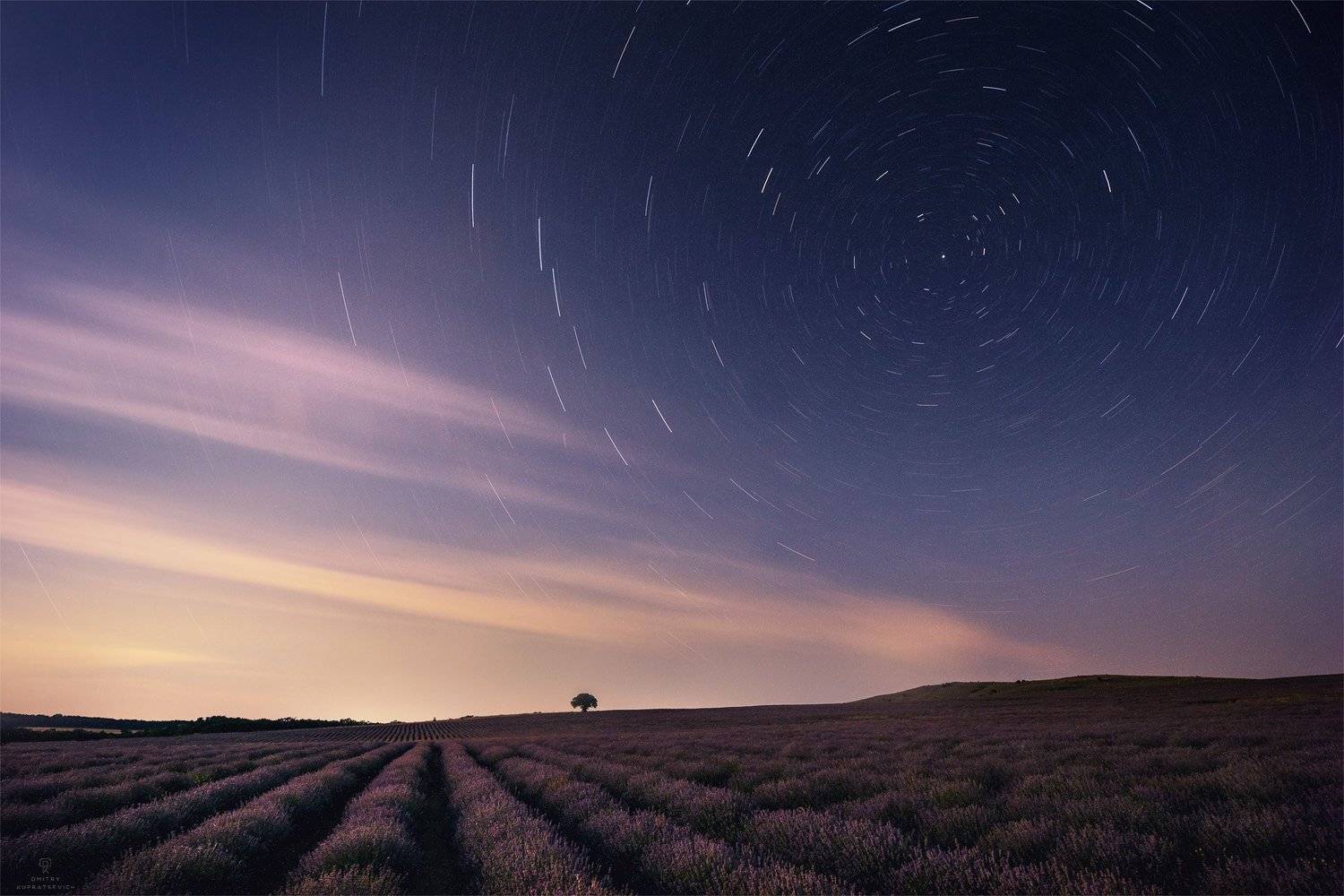 , Дмитрий Купрацевич