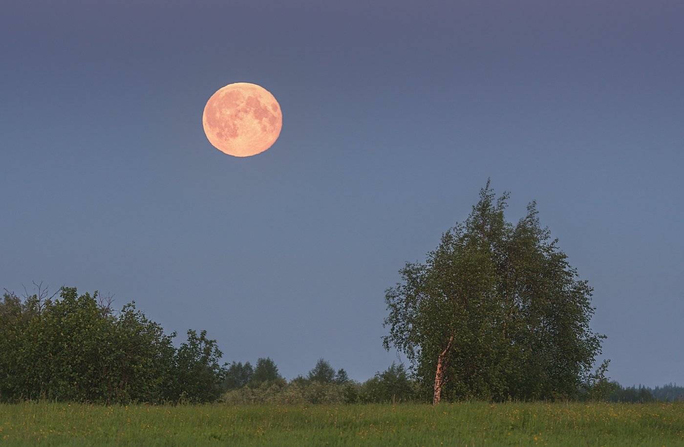 печора,луна,белые ночи, Игорь Подобаев