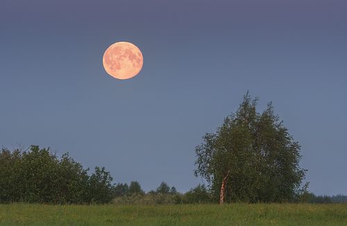 Белые ночи севера