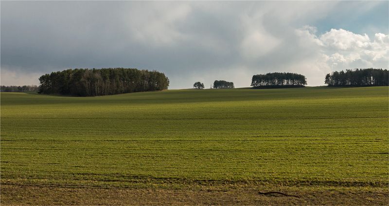 поле, деревья, небо, трава Win XP (производства Беларуси) ;))))) фото превью