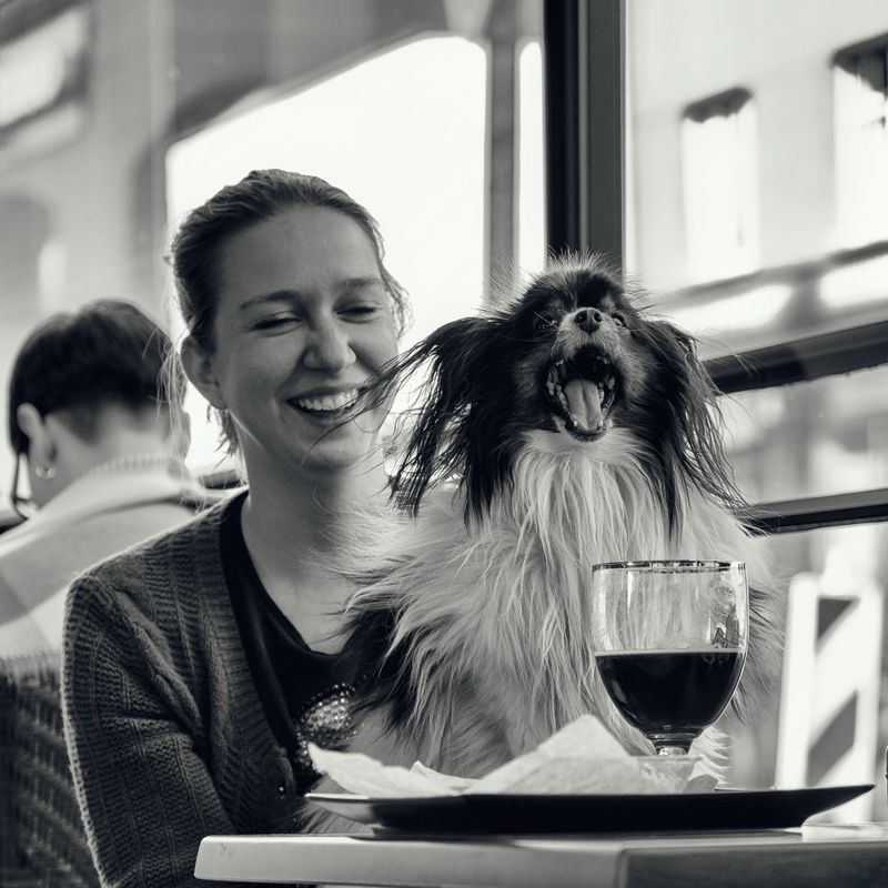 Best friend фото превью