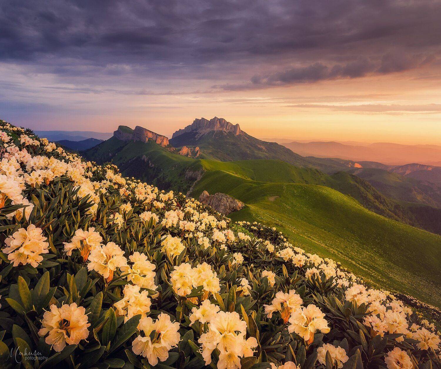 landscape, пейзаж, sunrise, адыгея,, Алексей Самойленко