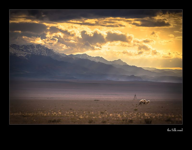 каратау про встречу с бактрианом ...или пусть будут чёрными фото превью