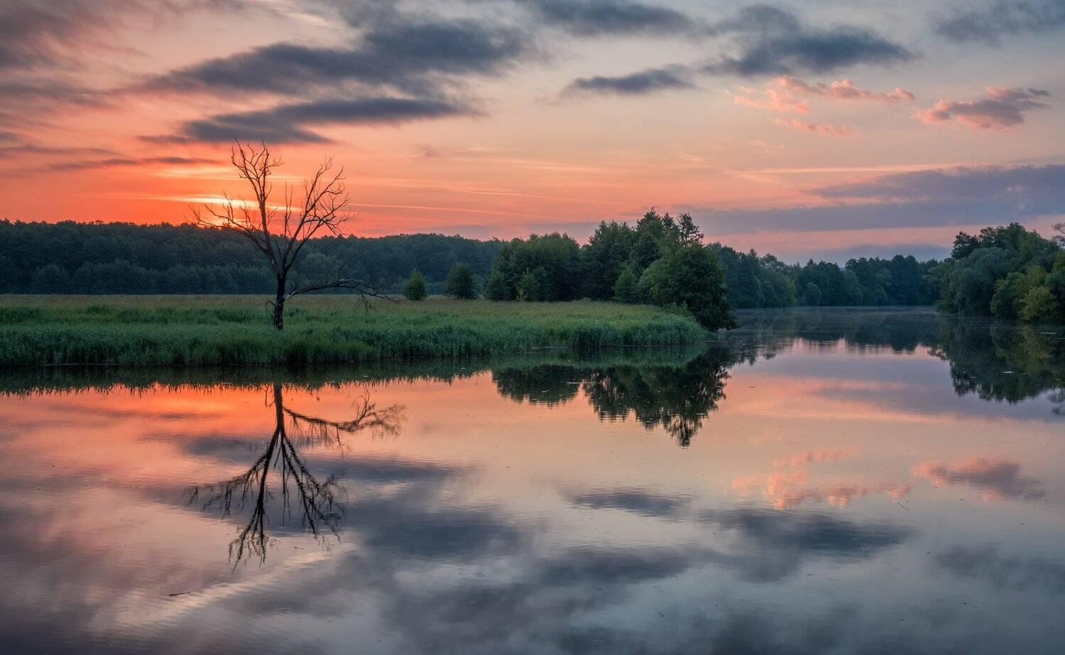 рассвет, пейзаж, природа, утро, река, дерево, небо, Виталий Левыкин