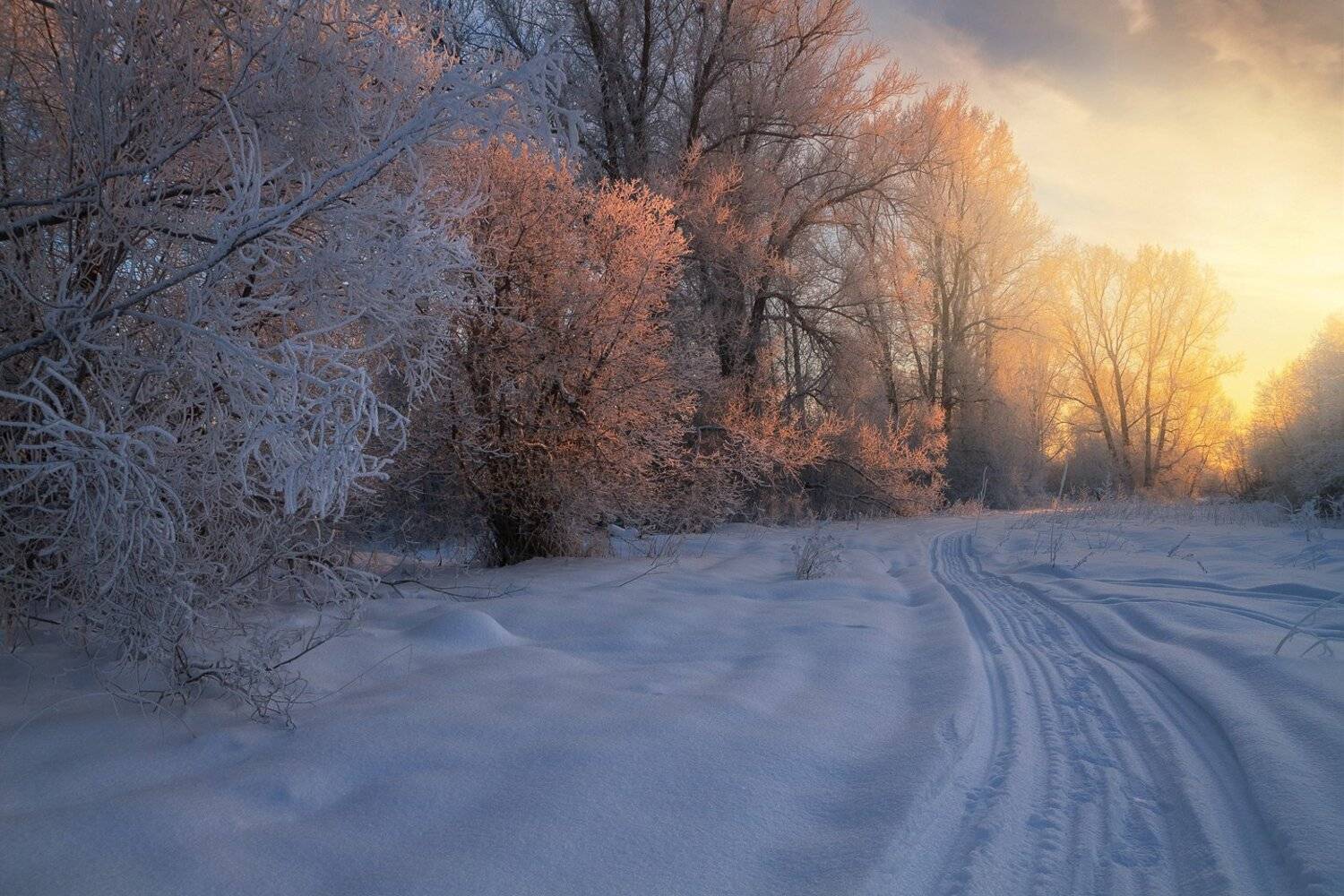 зима, закат, лес, парк, мороз, снег, вечер, след, тропа, Смольский Евгений