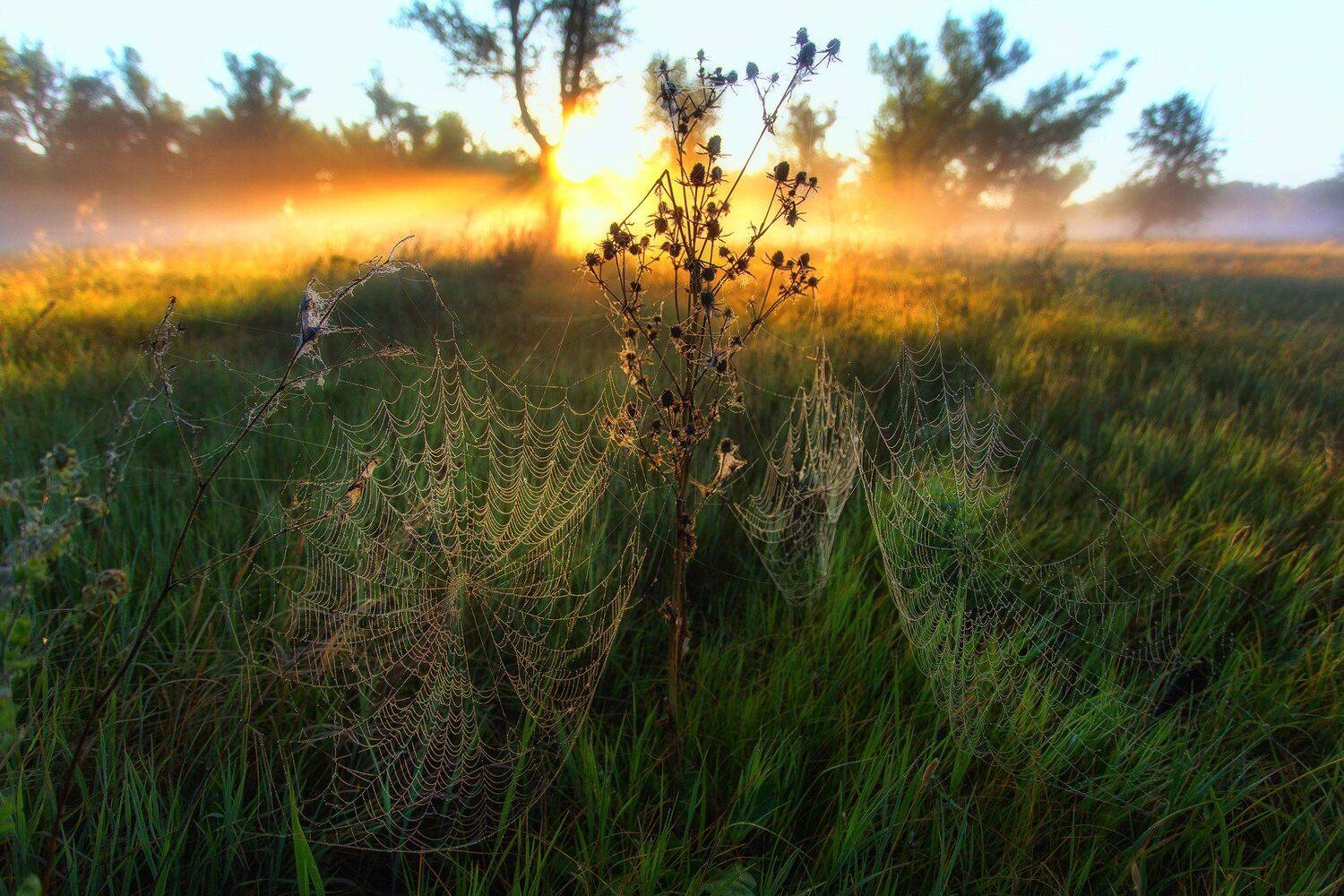 , Павел Сагайдак