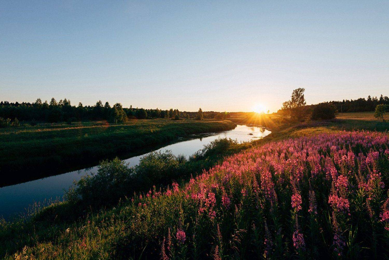 река, закат, цветы, вода, вечер, солнце, трава, лес, деревня, луг, природа, пейзаж,, Иван Клейн