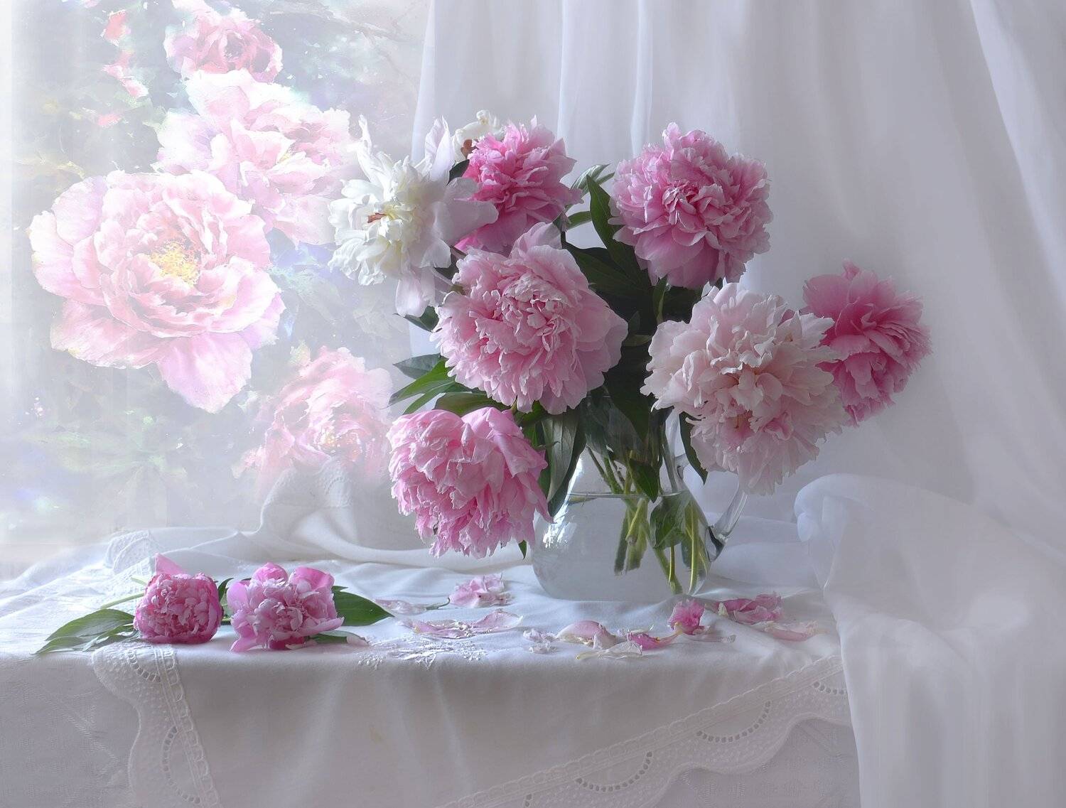 still life,натюрморт, цветы, фото натюрморт, пионы, лето, июнь, Колова Валентина