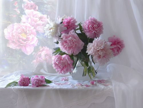 Июнь почти готов поставить точку...