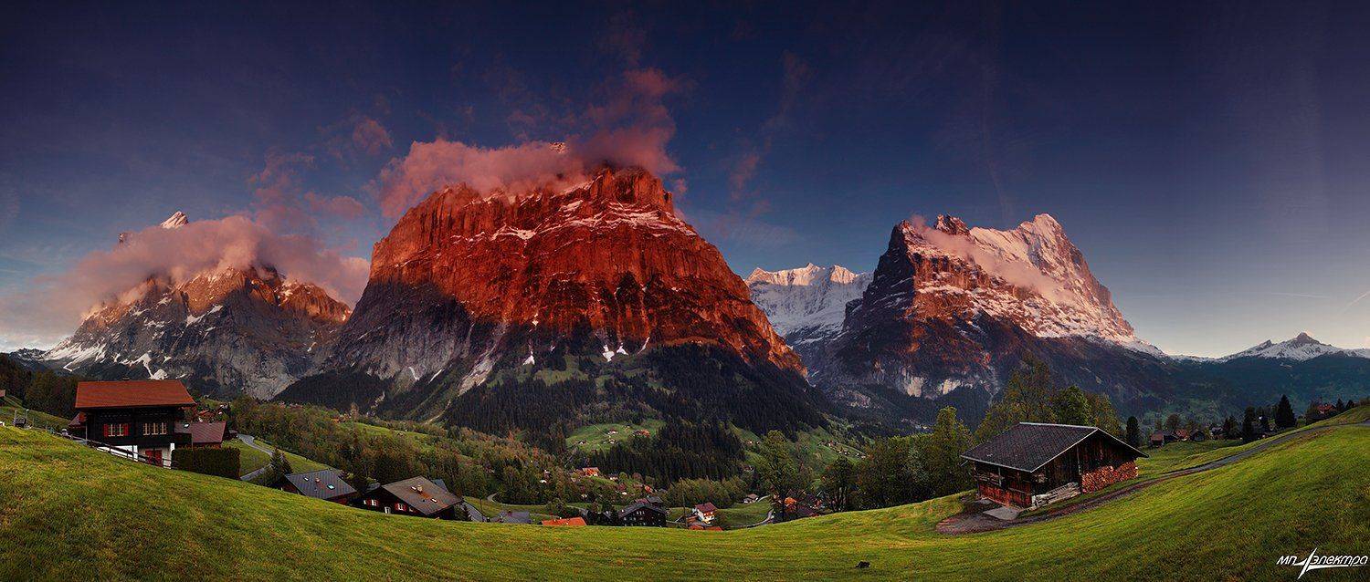 swiss, Матвеев Николай