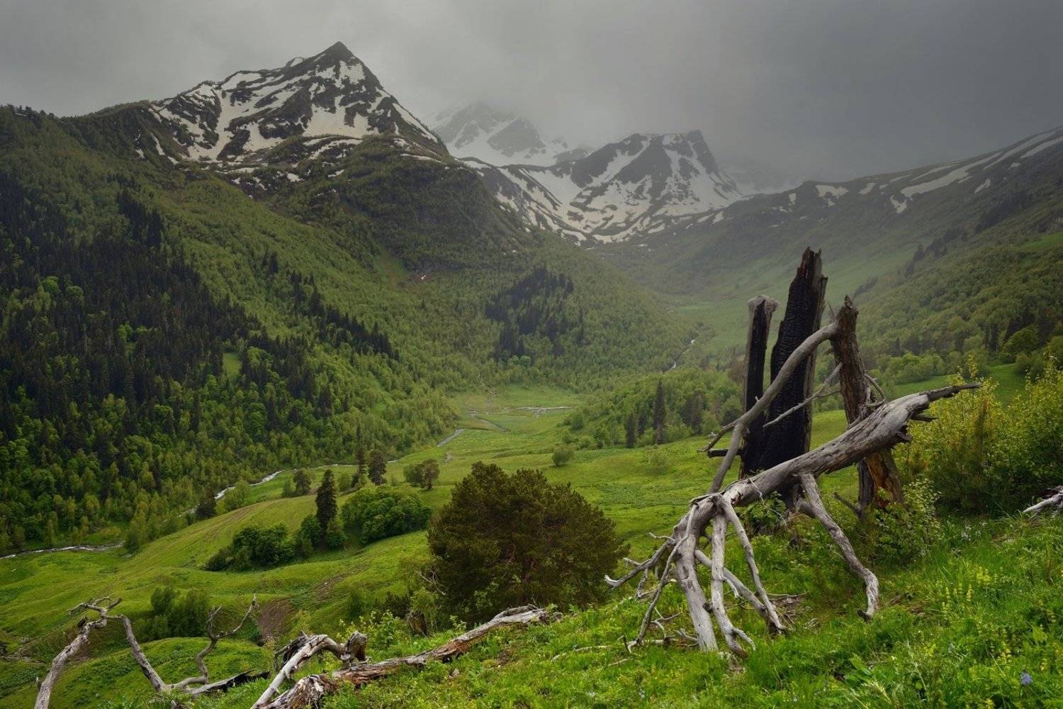 горы лето дождь, Александр Жарников