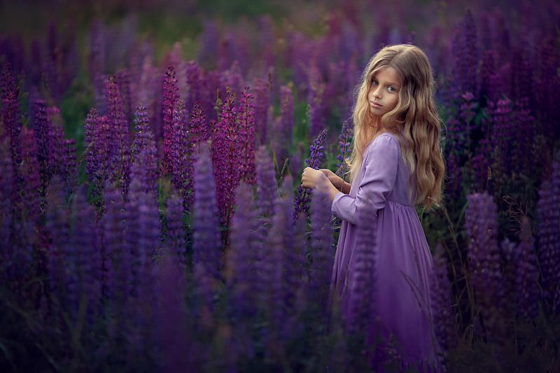 девочка, фотосессия на природе, детская фотография, сиреневый, люпины, лето, детский фотограф, семейный фотограф, портрет Люпины фото превью