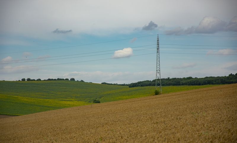 ceclii, nikon d3400  фото превью