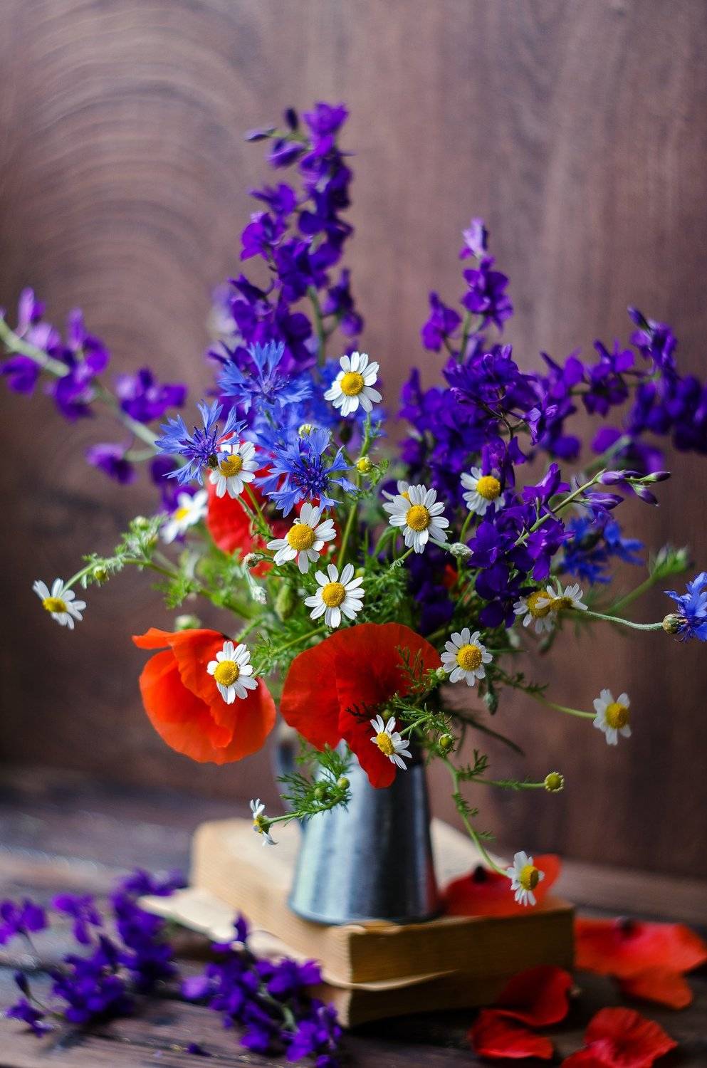 , Елена Вапняр