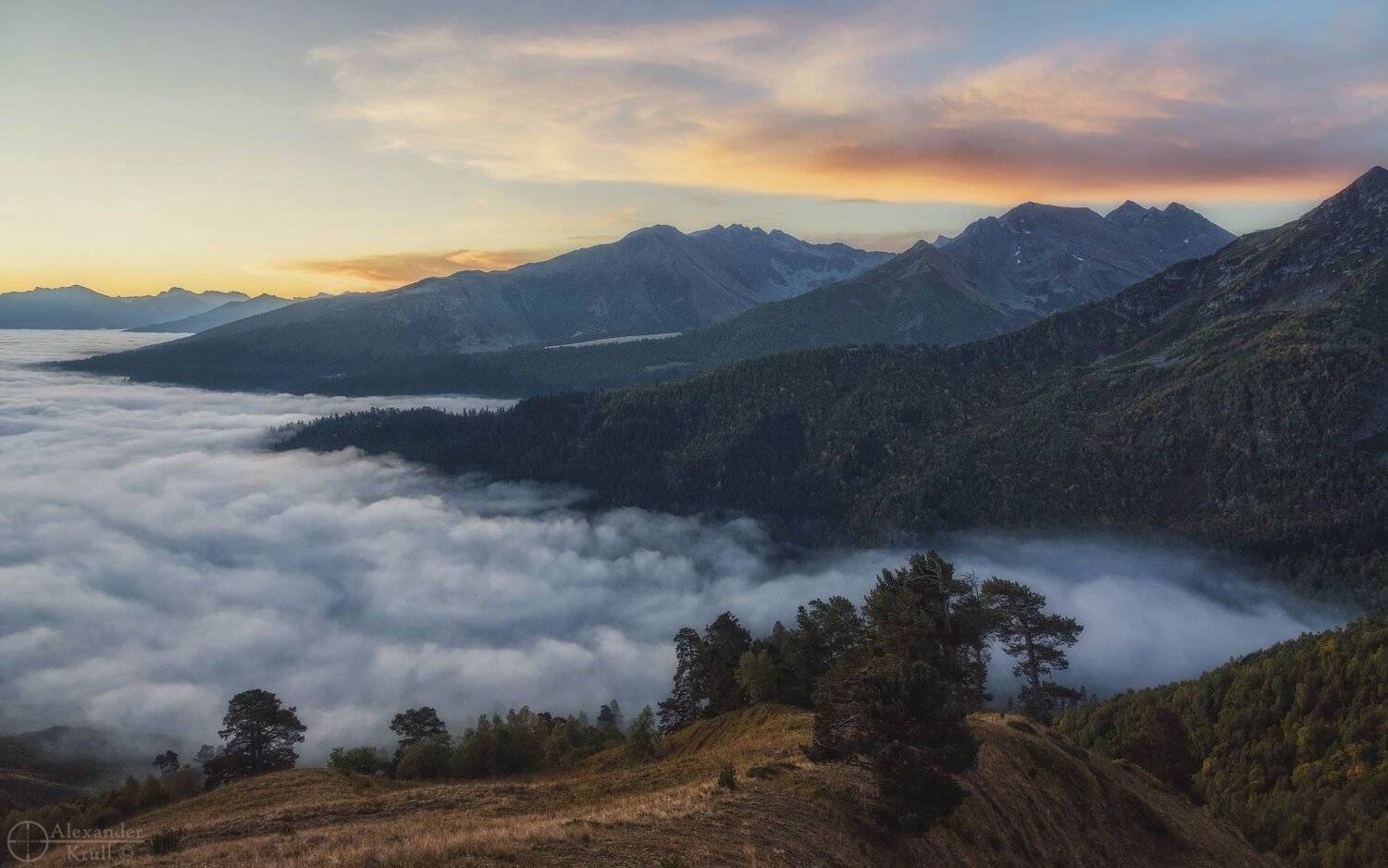 , Александр Круль