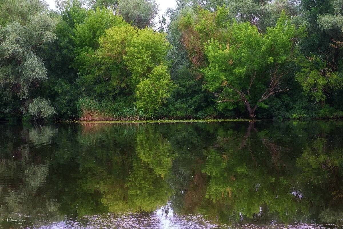 карпаты., украина., зима., пейзаж., снег., карпатский., гора., красивый., небо., природа., дерево., холод., мороз., путешествия., белый., сезон., ель., лес., фон., снежный., горы., зимний., утро., отдых., солнце., лед., изморозь., иней., сцена., синий., с, Леонид Морозов