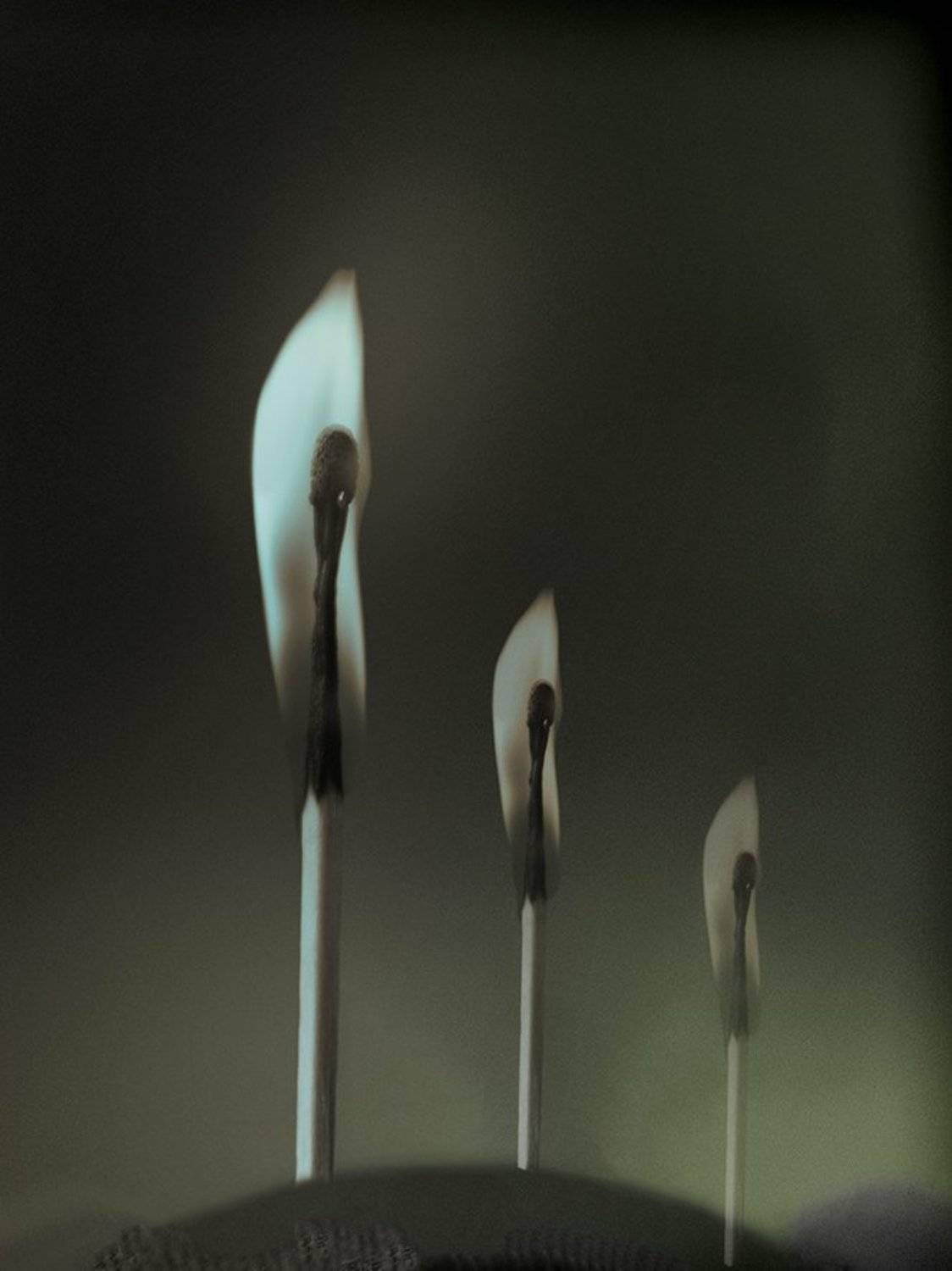 , T. Bondarenko