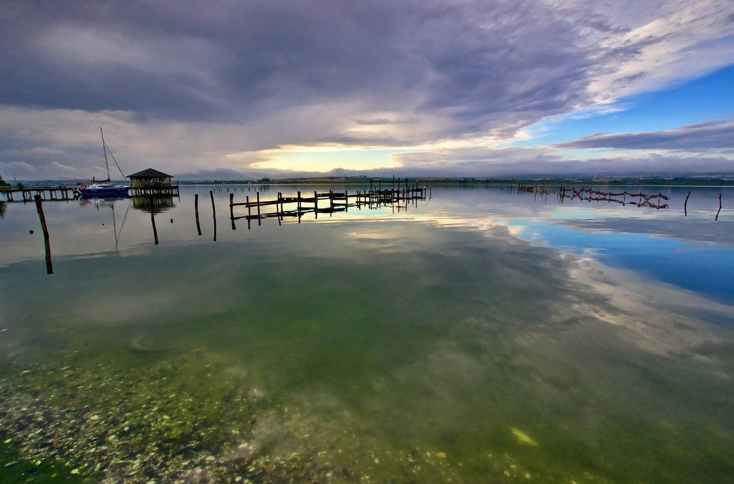 , Мартин Костадинов