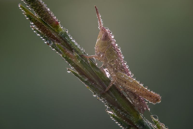 ... фото превью