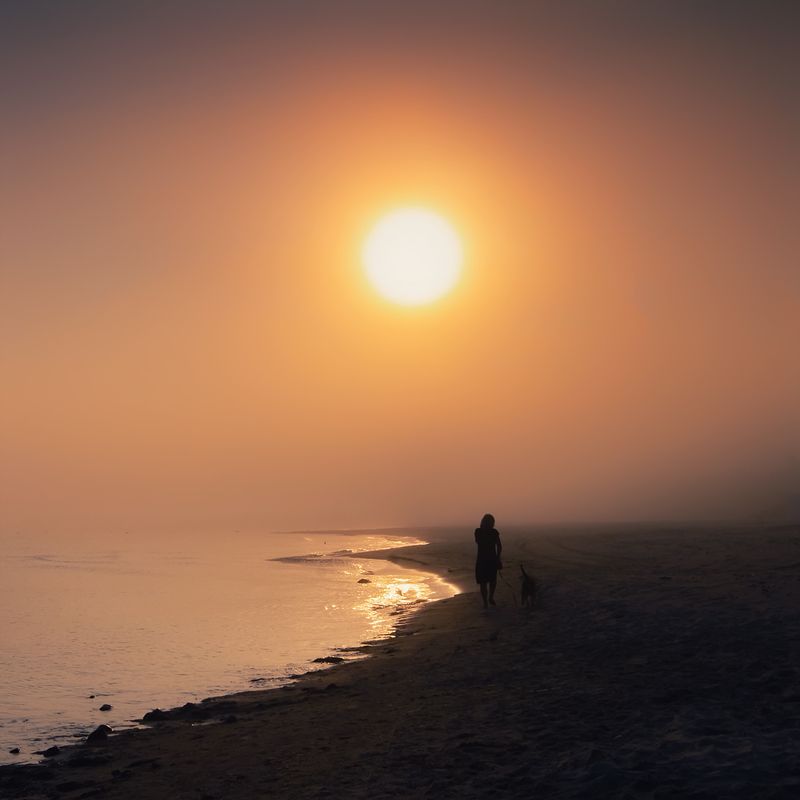 Morning фото превью