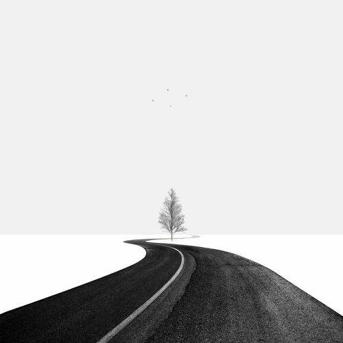 Road II