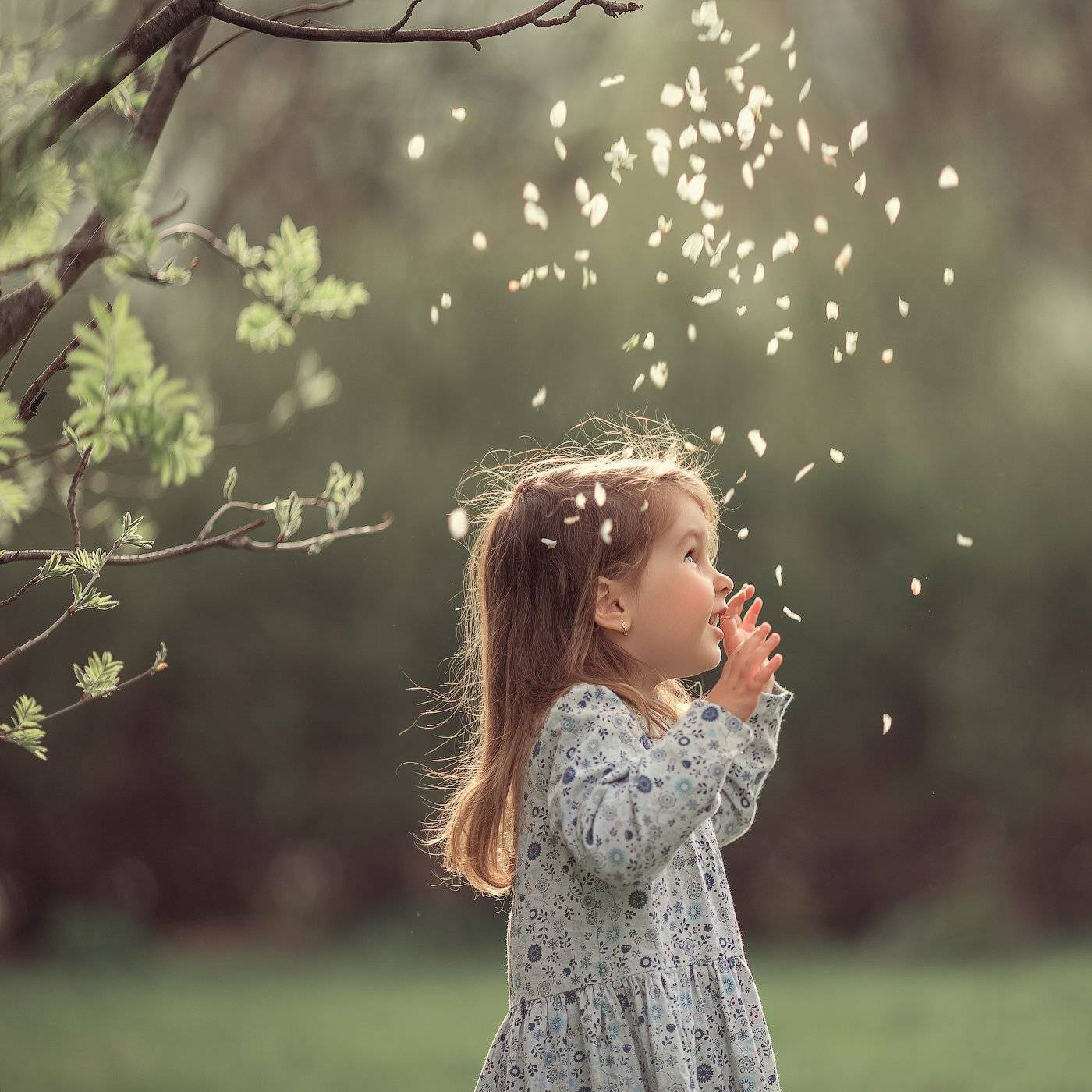 , Александра Дуке