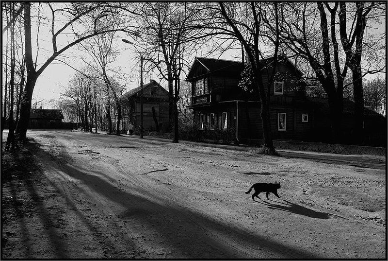 Кому-то не повезет... фото превью