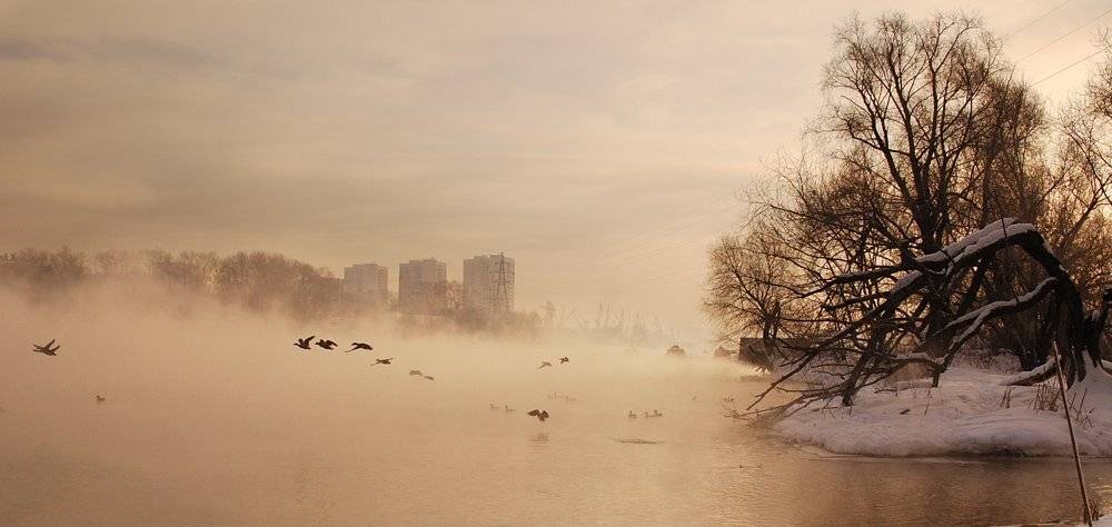 кожухово, москва, andrey