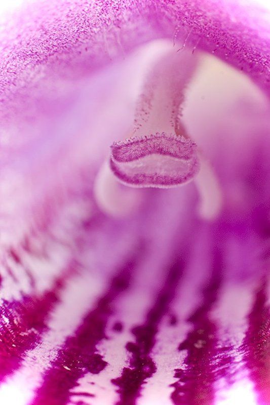 про цвета фото превью