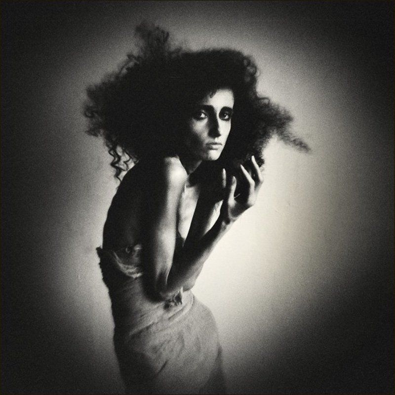 портрет чёрной хризантЭммы... фото превью