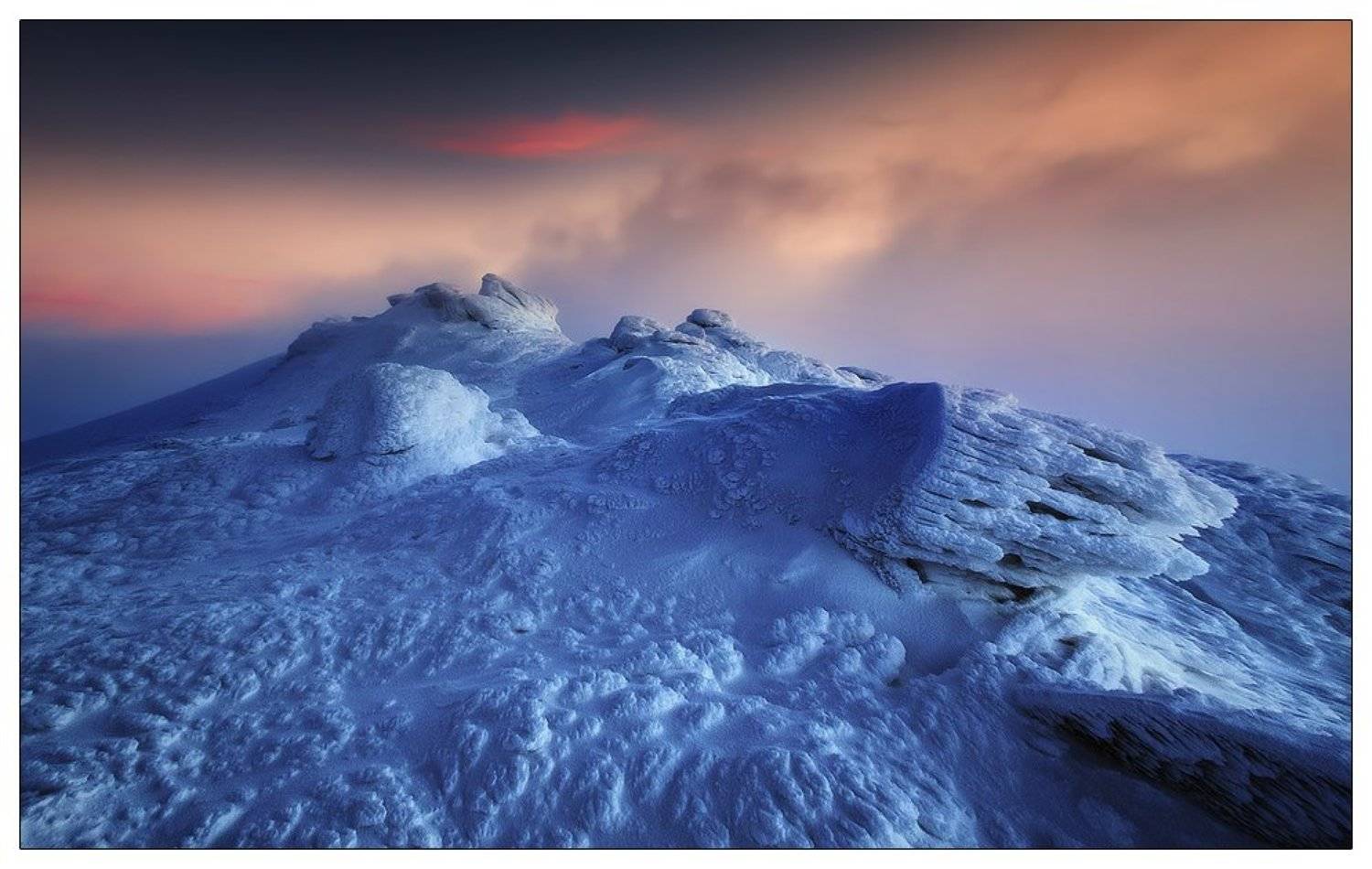 , Денис Кривой