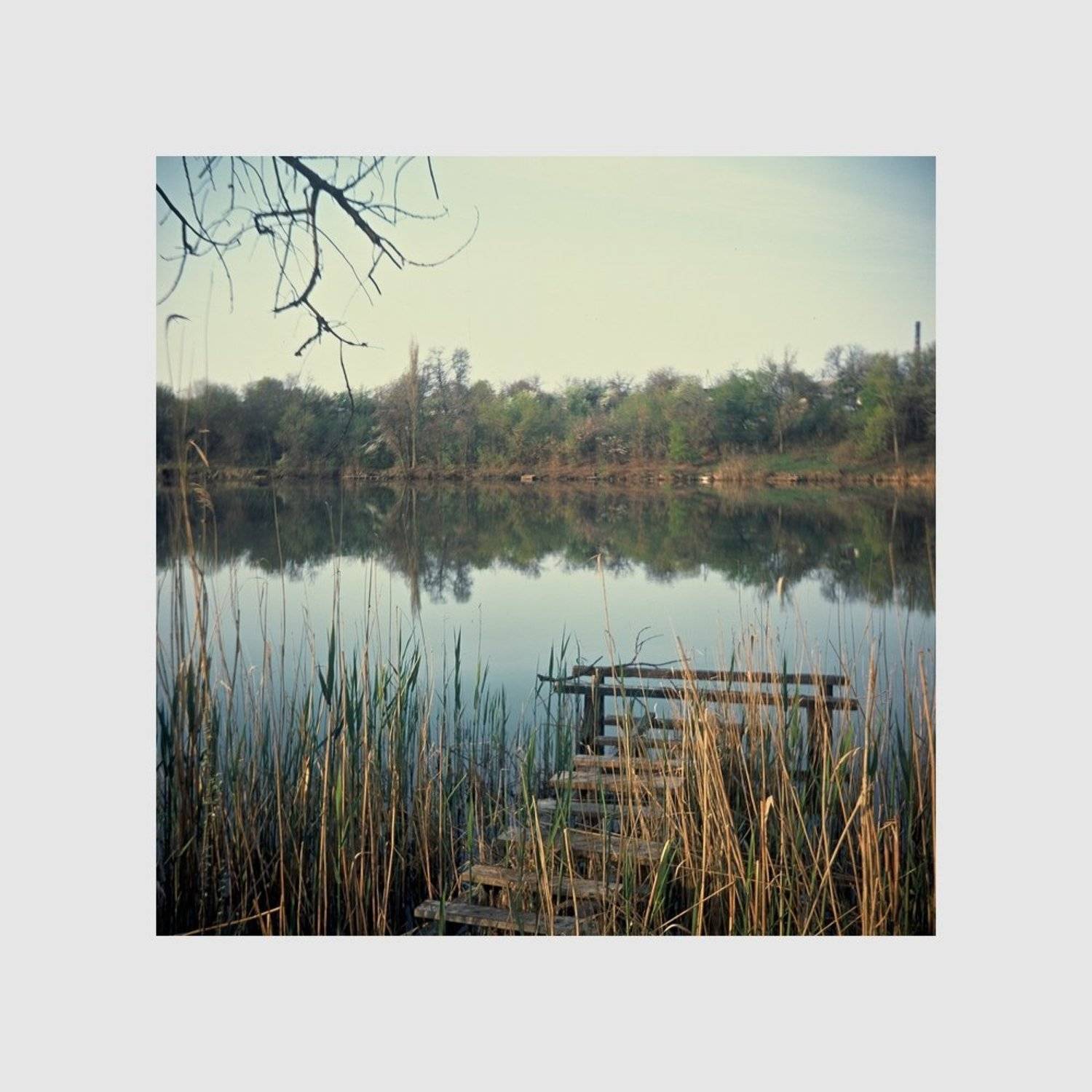 , Игорь Филипенко