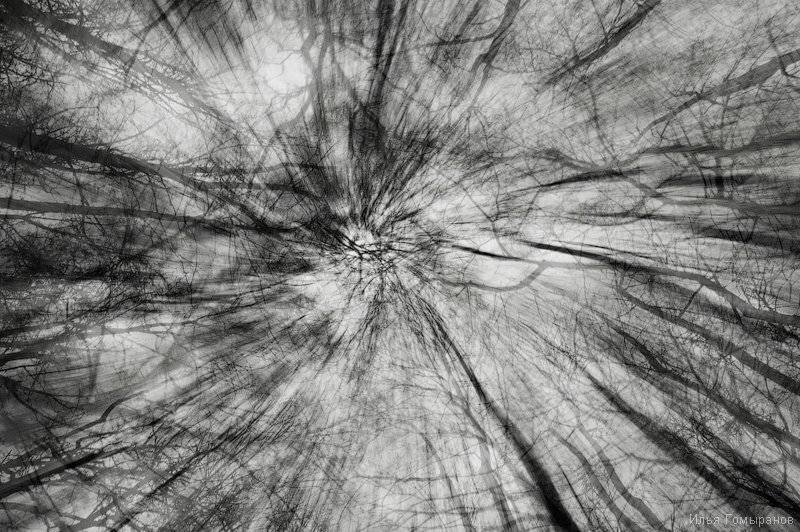 , Илья Гомыранов