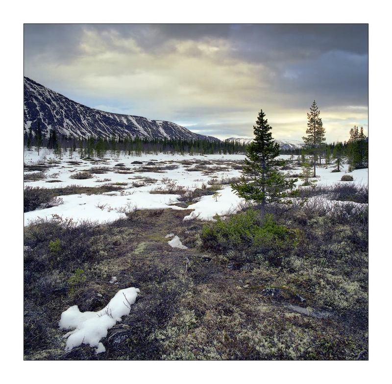 ~~*~~ фото превью