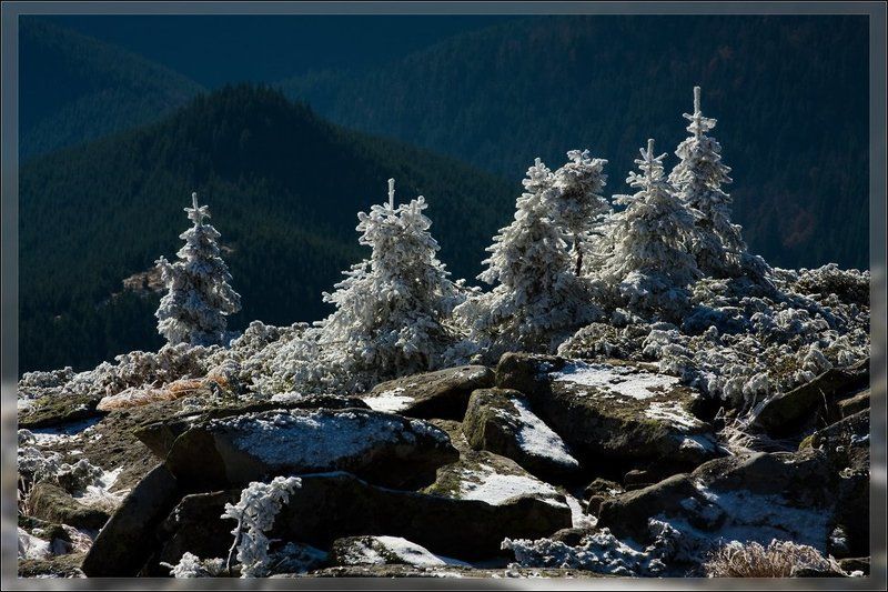 Дмитрий Бобошко фото превью
