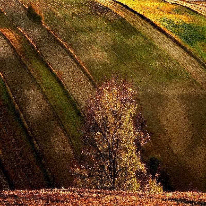 Landscapes_15 фото превью