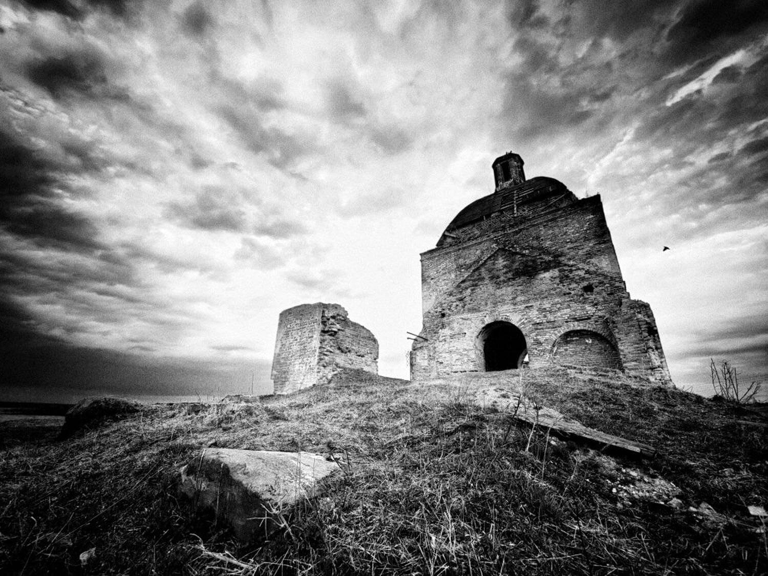 , Максим Евдокимов