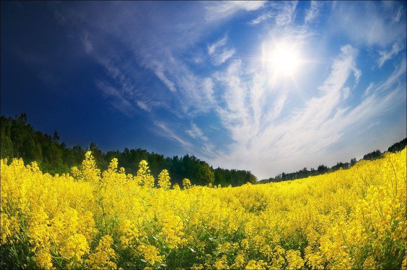 Новый день фото превью