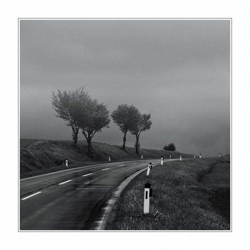 rainy road