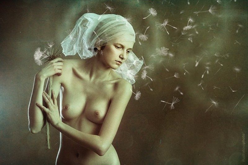 Одуванчик. фото превью