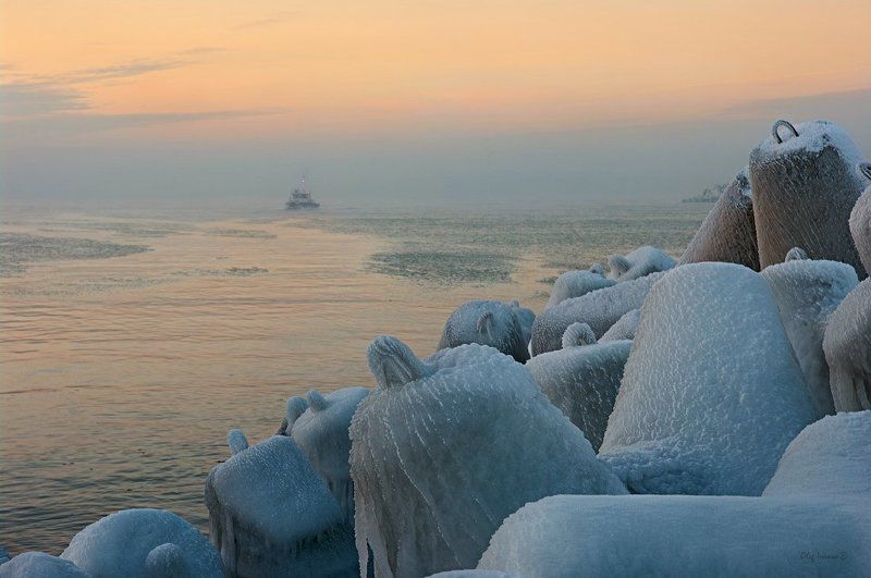 Лоцман фото превью