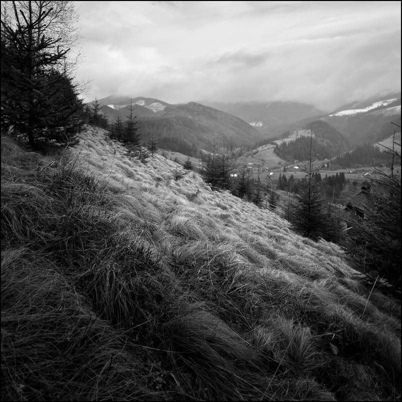 весна, карпаты, Vladimir Markov