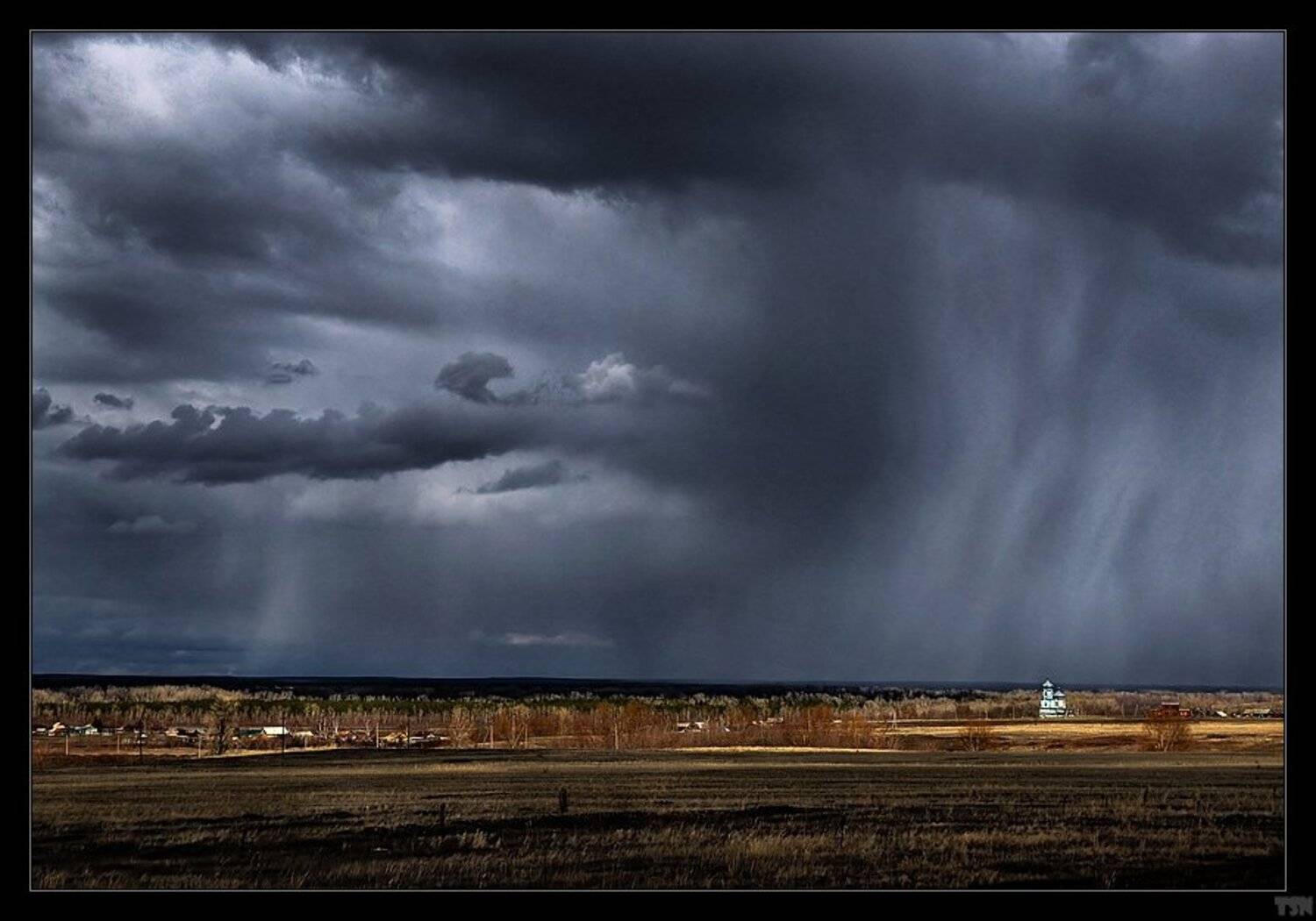 , Сергей Требунских