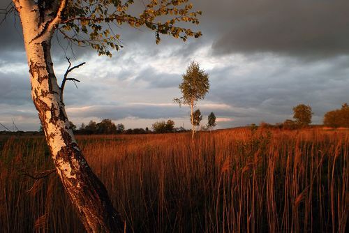 банальный закат